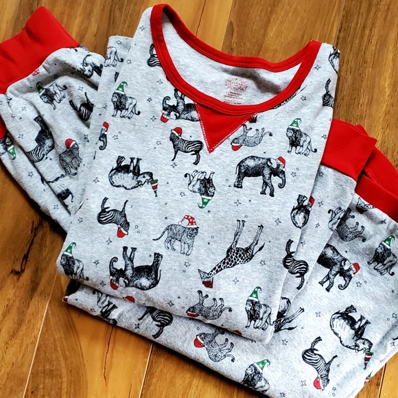Wondershop Other - WONDERSHOP Winter Safari PJ Set - Size L (EUC)